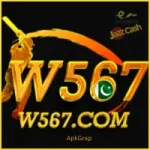 W567 Game