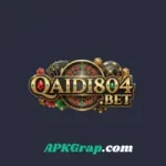 Qaidi804 Game