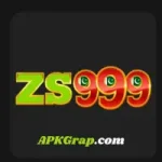 zc999 game